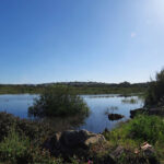 Sul Informação - Câmara de Loulé cria Reserva Natural Local da Foz do Almargem e do Trafal