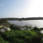 Sul Informação - Câmara de Loulé cria Reserva Natural Local da Foz do Almargem e do Trafal