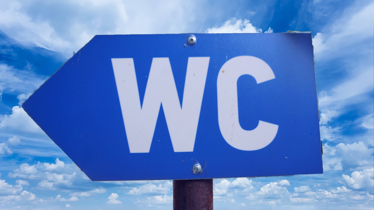 Sul Informação - PSD/Portimão quer WC e bebedouro na Marginal de Alvor