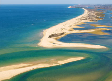 Sul Informação - Câmara de Faro aceita voluntários para ação de limpeza da Ria Formosa