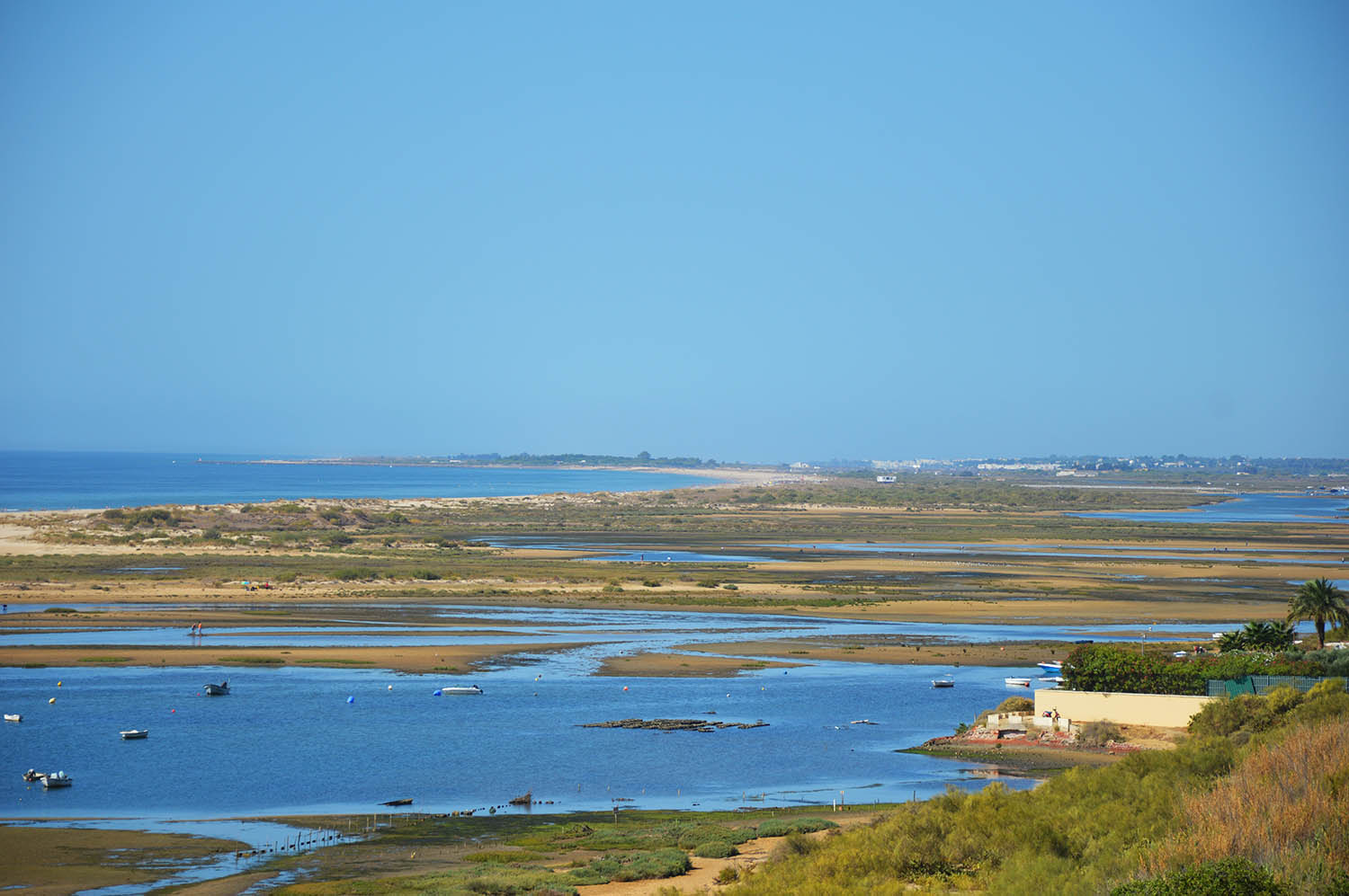 Sul Informação - Ria Formosa será o «modelo» para projeto da Gulbenkian na área do Carbono Azul