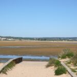 Sul Informação - Alvor assinala Dia Mundial das Zonas Húmidas com limpeza do areal e passeio na ria