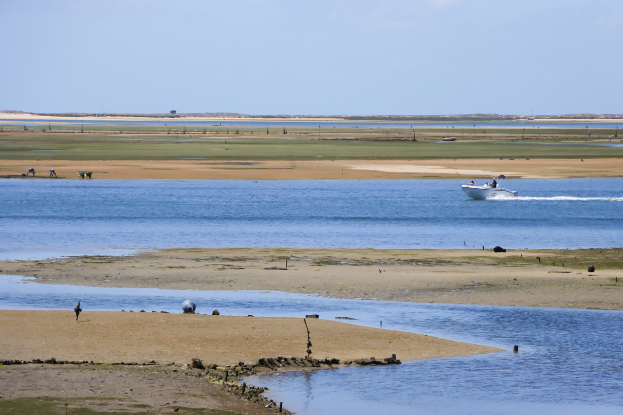 Sul Informação - RIAS precisa de votos para ganhar 5 mil euros para limpar a Ria Formosa