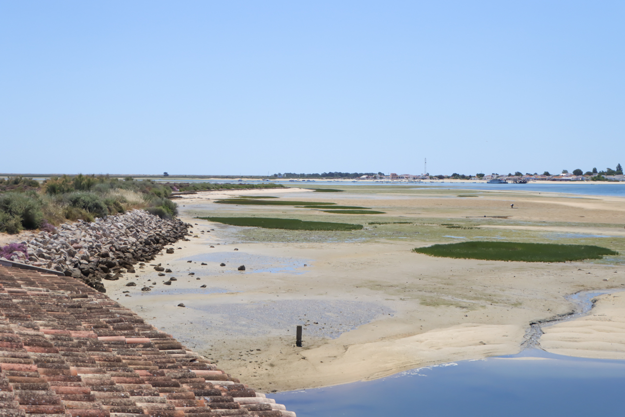 Sul Informação - CIVIS lança debate sobre as ameaças e as agressões à Ria Formosa