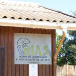 Sul Informação - Há uma nova associação a lutar pela conservação da “Vita Nativa” do Algarve