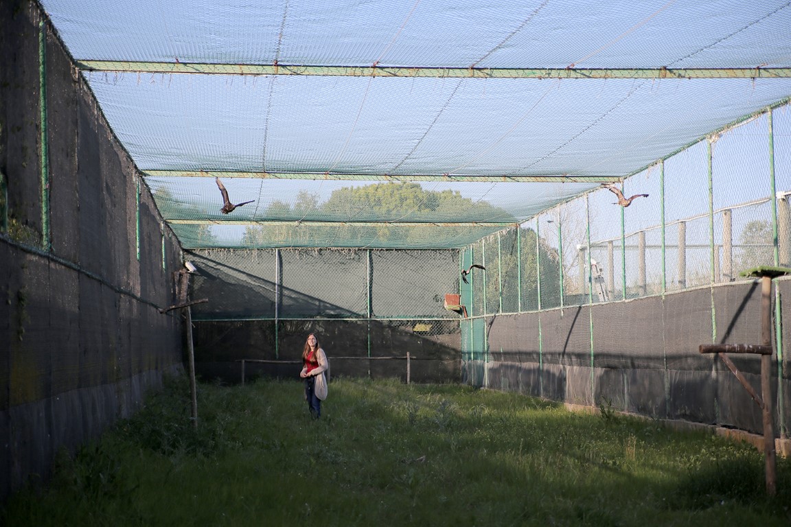 Sul Informação - RIAS e Câmara de Olhão juntam-se em ações de educação ambiental