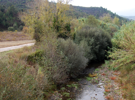 Sul Informação - LPN e A Rocha pedem «revisão profunda» do Plano das Bacias Hidrográficas das Ribeiras do Algarve
