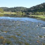Sul Informação - Terras sem Sombra levou o seu público à descoberta do Rio Ardila e do Castelo de Noudar