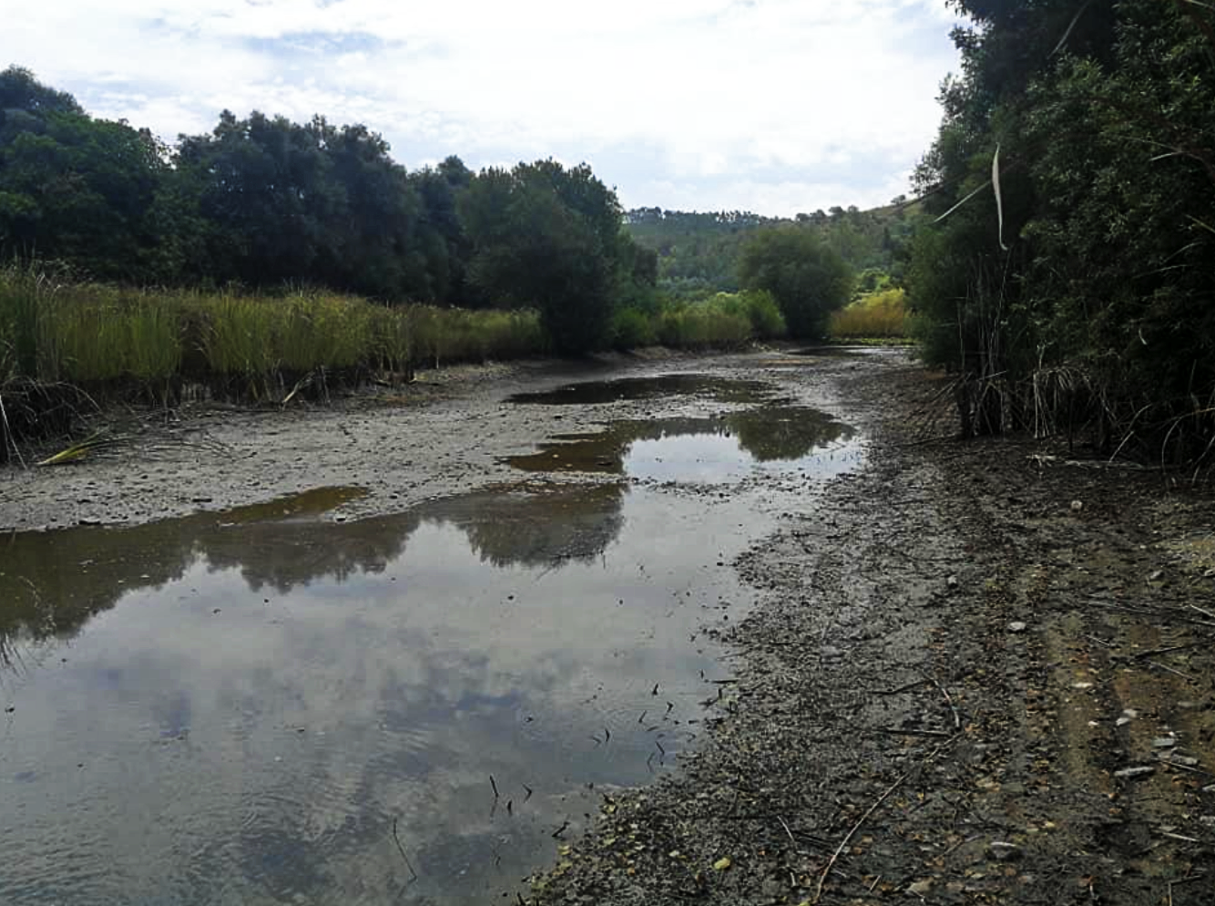 Sul Informação - APA exige que Associação de Beneficiários do Mira reponha caudal ecológico do rio