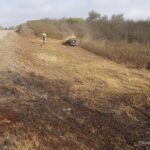 Sul Informação - Silves compra robot de rastos para proteger floresta contra incêndios