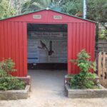 Sul Informação - Zoo de Lagos já está a ajudar a aumentar os números da quase extinta Rola de Socorro