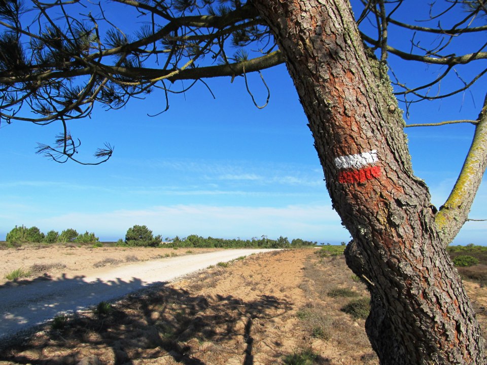 Sul Informação - Primeiro poste da Rota Vicentina no Algarve vai ser instalado na segunda-feira