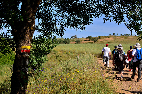 Sul Informação - Rota Vicentina celebra três anos com mais 50 km em percursos circulares