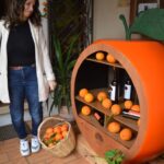 Sul Informação - E que tal visitar a Rota da Laranja de Silves na companhia de Al-Mutamid ou João de Deus?