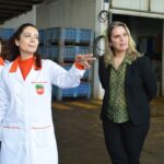 Sul Informação - E que tal visitar a Rota da Laranja de Silves na companhia de Al-Mutamid ou João de Deus?
