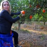 Sul Informação - E que tal visitar a Rota da Laranja de Silves na companhia de Al-Mutamid ou João de Deus?