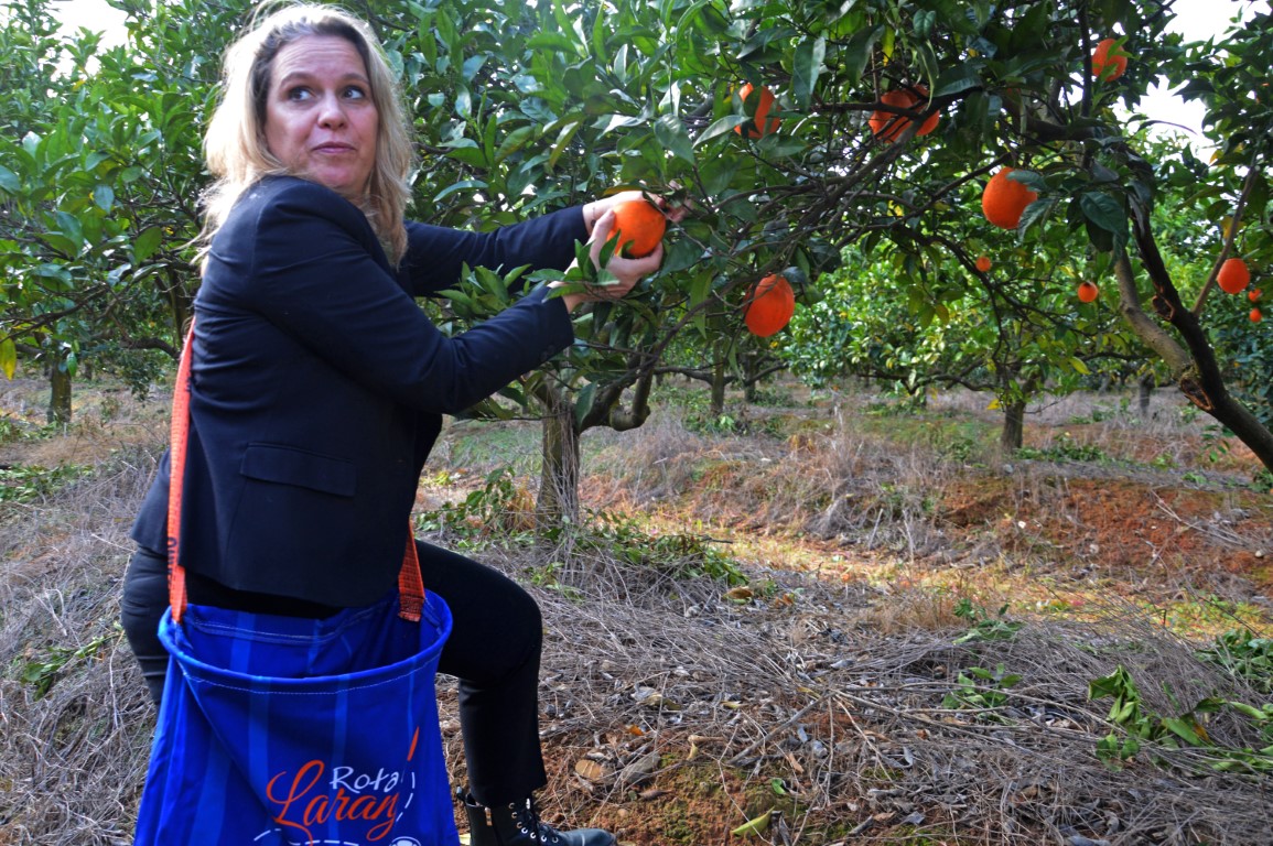 Sul Informação - E que tal visitar a Rota da Laranja de Silves na companhia de Al-Mutamid ou João de Deus?