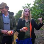 Sul Informação - E que tal visitar a Rota da Laranja de Silves na companhia de Al-Mutamid ou João de Deus?