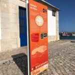 Sul Informação - Tavira quer valorizar património marítimo com novas rotas do polvo e do atum