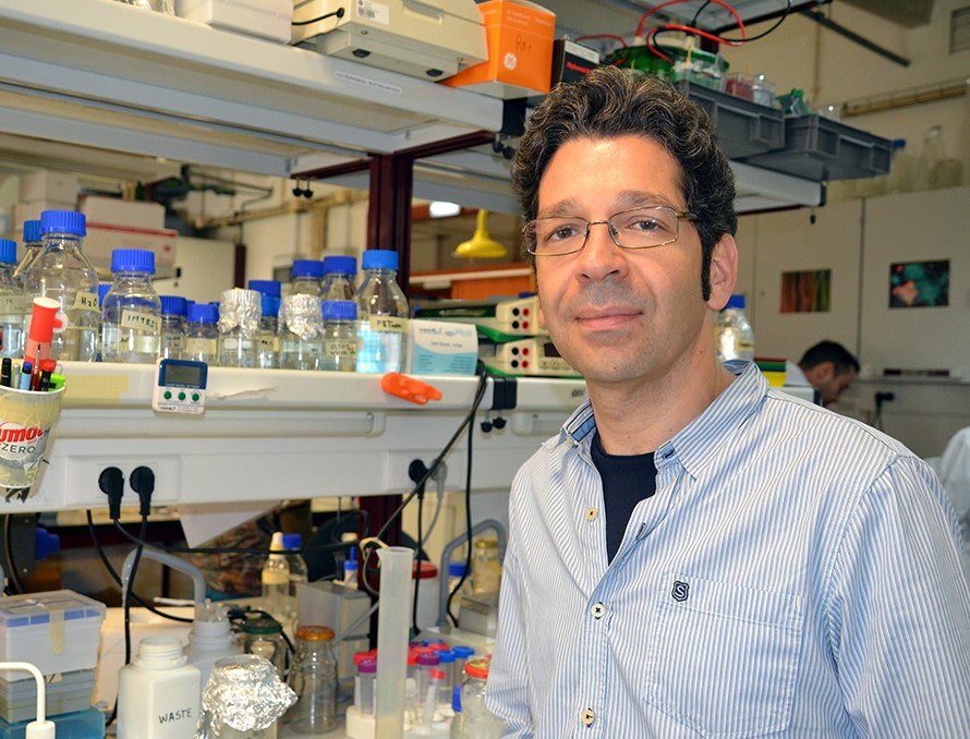 Sul Informação - Investigador da UAlg é eleito vice-presidente da Sociedade Portuguesa de Biologia do Desenvolvimento