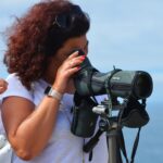 Sul Informação - Todos de cabeça no ar em Sagres para o Festival de Observação de Aves