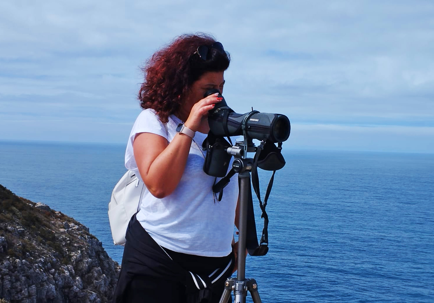Sul Informação - Todos de cabeça no ar em Sagres para o Festival de Observação de Aves