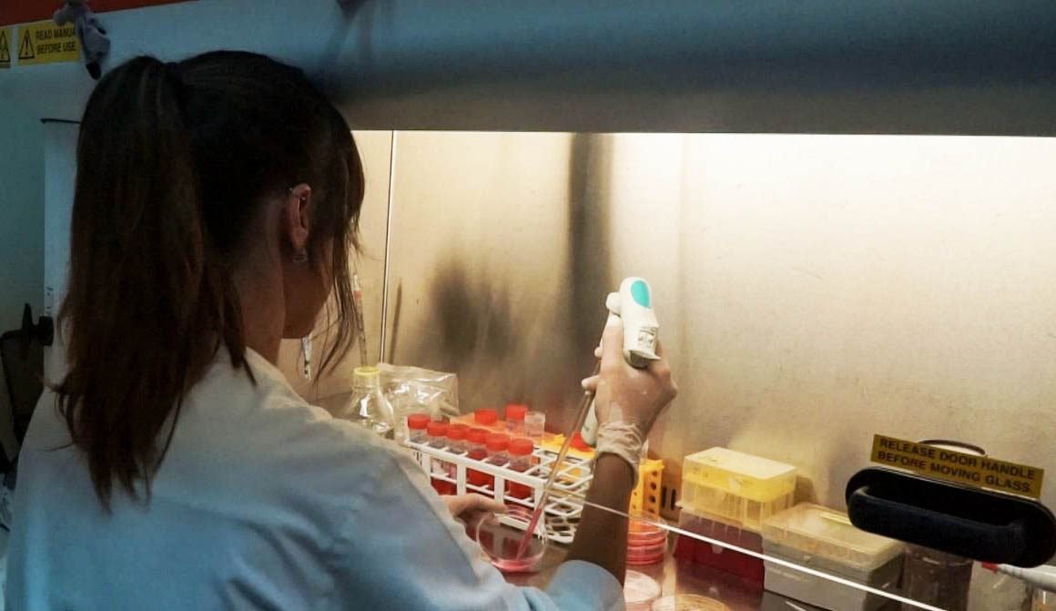 Sul Informação - Algarvio S2AQUAcoLAB participa em projeto inovador para explorar futuro de novas fontes de proteína