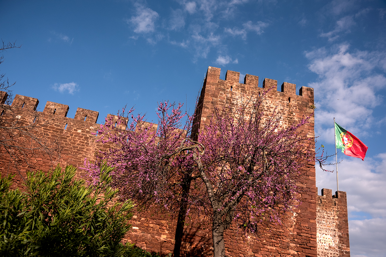 Sul Informação - Museu de Arqueologia e Castelo de Silves já estão com horários pré-pandemia