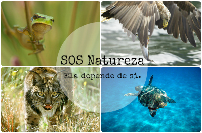 Sul Informação - Ministros do Ambiente da UE reiteram importância da Estratégia de Biodiversidade e das Diretivas Aves e Habitats