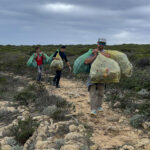 Sul Informação - Comunidade escaladora tirou 500 quilos de lixo de falésia em Sagres