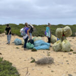 Sul Informação - Comunidade escaladora tirou 500 quilos de lixo de falésia em Sagres