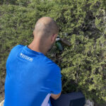 Sul Informação - Comunidade escaladora tirou 500 quilos de lixo de falésia em Sagres