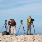 Sul Informação - Todos de cabeça no ar em Sagres para o Festival de Observação de Aves