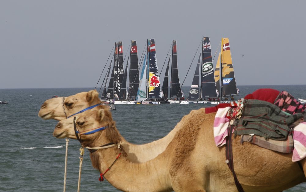 Sail Portugal_Muscat_5
