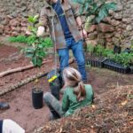 Sul Informação - Salema Eco Camp avança com compostagem de biorresíduos para se tornar “Zero Waste”