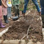 Sul Informação - Salema Eco Camp avança com compostagem de biorresíduos para se tornar “Zero Waste”