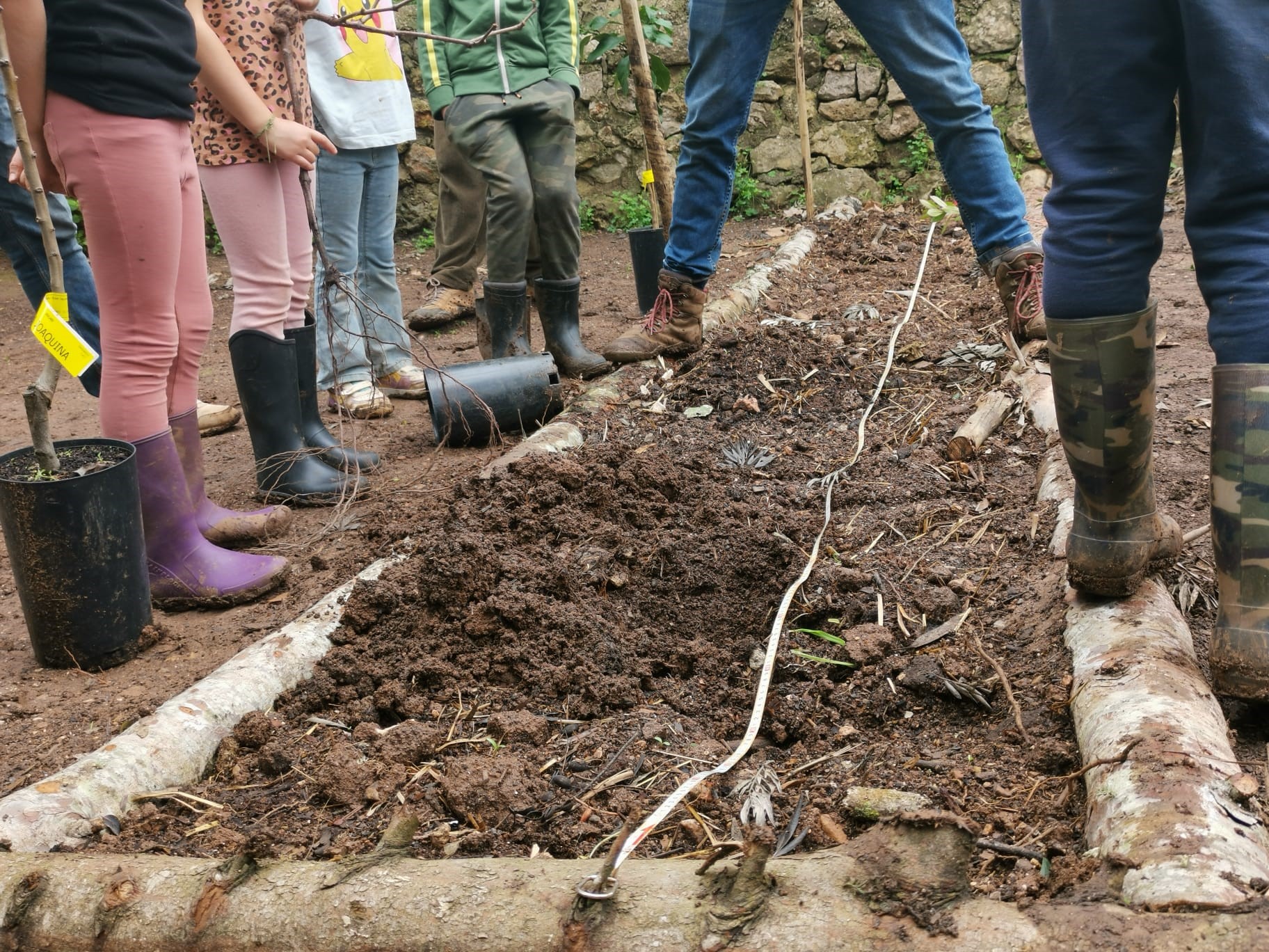 Sul Informação - Salema Eco Camp avança com compostagem de biorresíduos para se tornar “Zero Waste”
