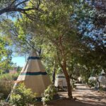 Sul Informação - Salema Eco Camp avança com compostagem de biorresíduos para se tornar “Zero Waste”