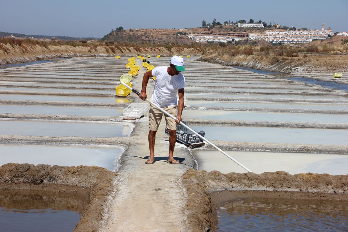 Sul Informação - Castro Marim apresenta projeto nas salinas para sequestrar carbono e mitigar alterações climáticas