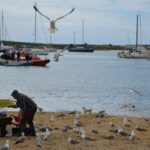 Sul Informação - Centro de Interpretação vai preservar a memória do barco que andou meio século a salvar vidas em Alvor