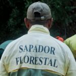 Sul Informação - Caminho antigo entre as Caldas de Monchique e a Picota redescoberto para acolher turistas de natureza