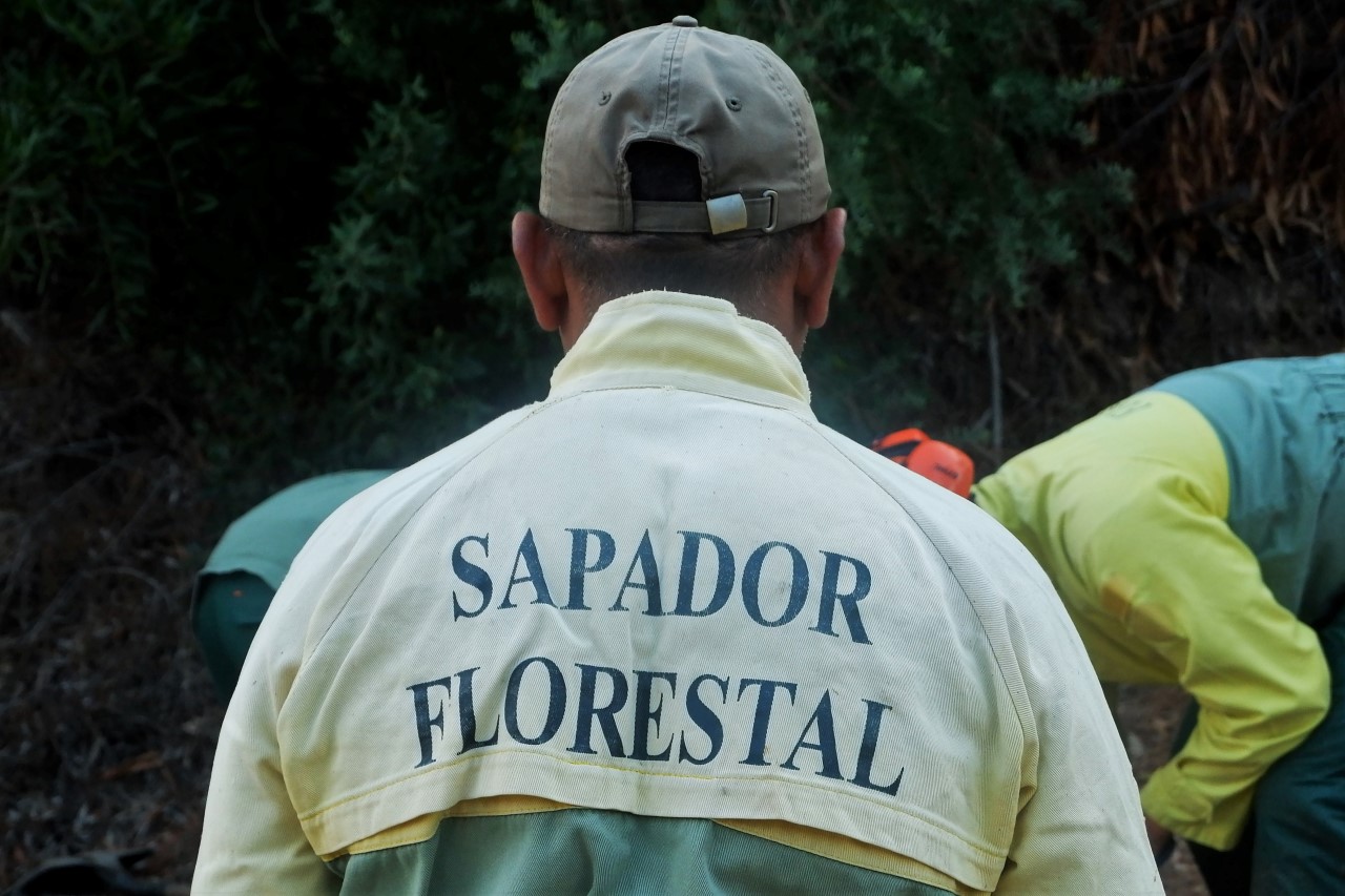 Sul Informação - Caminho antigo entre as Caldas de Monchique e a Picota redescoberto para acolher turistas de natureza