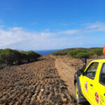Sul Informação - Sapadores de Vila do Bispo estão a limpar terrenos para prevenir contra incêndios