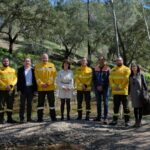 Sul Informação - Sapadores Florestais de São Brás de Alportel completam 5 anos de atividade