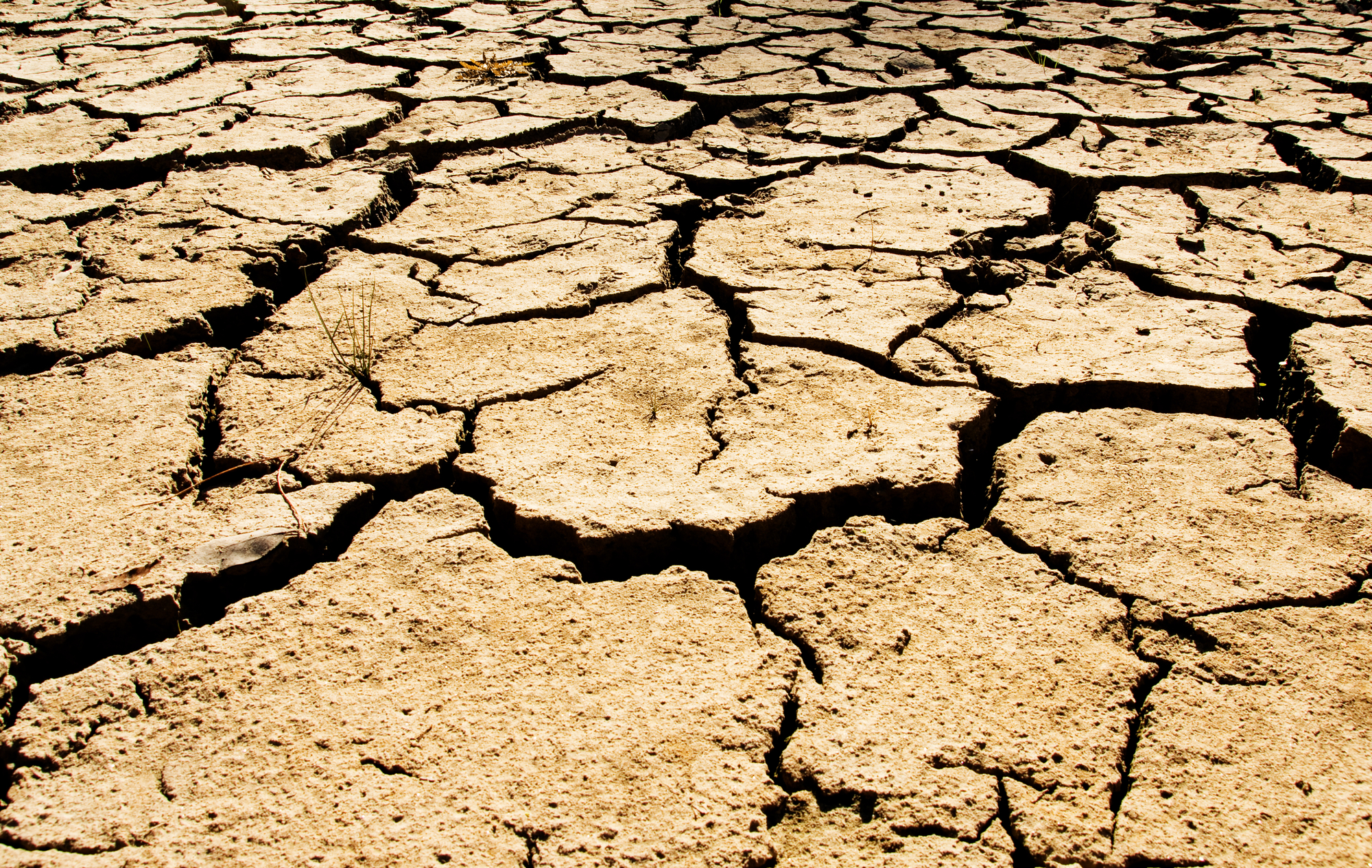 Sul Informação - Uma em cada quatro crianças é afetada pela seca extrema em Portugal