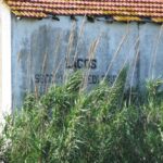 Sul Informação - Secção Museológica Ferroviária de Lagos está fechada e abandonada há anos