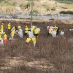 Sul Informação - SEIVA une lacobrigenses em ações de limpeza que recolheram 1,3 toneladas de lixo