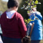 Sul Informação - Semana Verde reúne agentes, associações e alunos em torno de um concelho de Lagoa mais ecológico