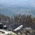 Sul Informação - Incêndios da Fóia e Porto de Lagos consumiram 400 hectares em 26 horas