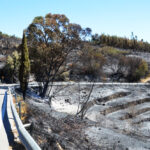 Sul Informação - Incêndios da Fóia e Porto de Lagos consumiram 400 hectares em 26 horas